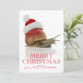 クリスマスのかたつむり シーズンカード (スタンド正面)