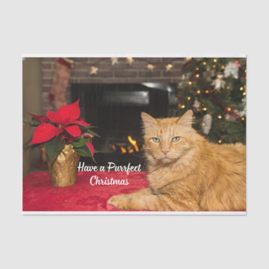 クリスマスのかわいいオレンジ色の猫を飼っている 薄葉紙 (正面)