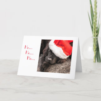 クリスマスのために服を着るすべて シーズンカード