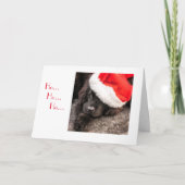 クリスマスのために服を着るすべて シーズンカード (正面)