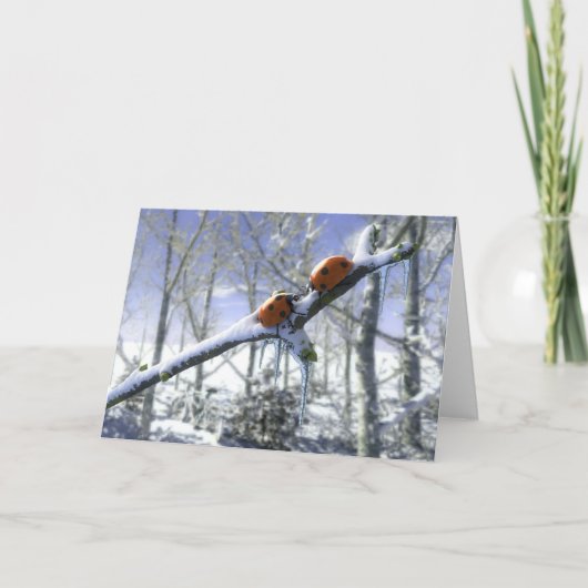 クリスマスのてんとう虫 シーズンカード (正面)