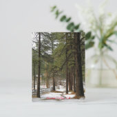 クリスマスのはがきに雪 シーズンポストカード (スタンド正面)