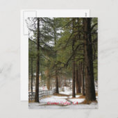 クリスマスのはがきに雪 シーズンポストカード (正面/裏面)