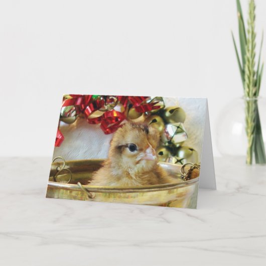 クリスマスのひよこ シーズンカード (正面)