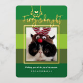 クリスマスのふわふわ&ブライトペット写真グリーン 箔シーズンカード (正面)