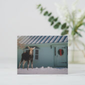 クリスマスのアメリカヘラジカ シーズンポストカード (スタンド正面)