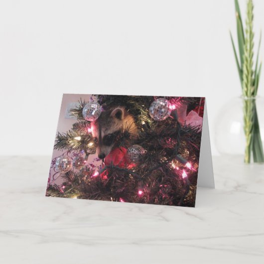 クリスマスのアライグマ シーズンカード (正面)