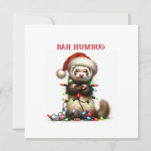 クリスマスのイタズラ フェレットがもつれ (正面)