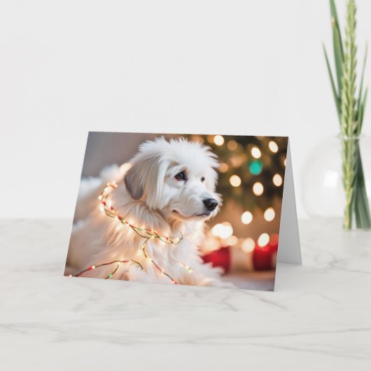 クリスマスのイルミネーションに絡まる犬 シーズンカード (正面)