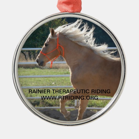 クリスマスのオーナメントのタンゴ メタルオーナメント (正面)