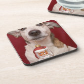 クリスマスのオーナメントを握るジャックラッセルテリア コースター (左側)