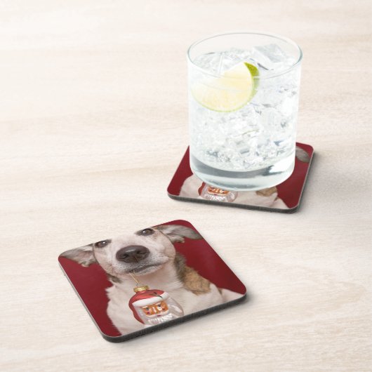 クリスマスのオーナメントを握るジャックラッセルテリア コースター (右側)