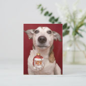 クリスマスのオーナメントを握るジャックラッセルテリア シーズンポストカード (スタンド正面)