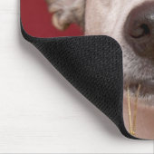 クリスマスのオーナメントを握るジャックラッセルテリア マウスパッド (コーナー)