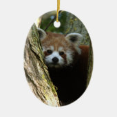 クリスマスのオーナメント-レッサーパンダ セラミックオーナメント (正面)