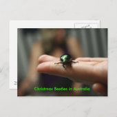 クリスマスのカブトムシ シーズンポストカード (正面/裏面)