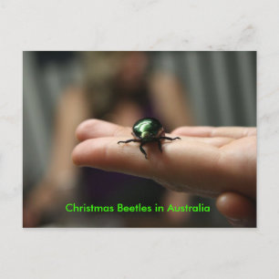 クリスマスのカブトムシ シーズンポストカード