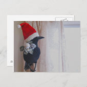クリスマスのカラスのはがき シーズンポストカード (正面/裏面)