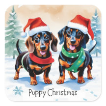 クリスマスのカワイイダックスフンドの子犬2匹