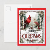クリスマスのカーディナルイラスト ポストカード (正面/裏面)