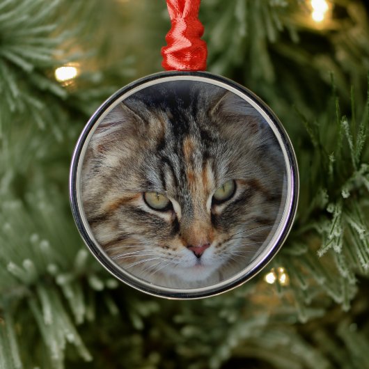 クリスマスのキジトラ猫の肖像オーナメント メタルオーナメント (ツリー)