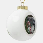 クリスマスのキャンディ・ケーンのコアラ セラミックボールオーナメント (左)