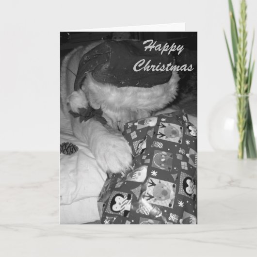 クリスマスのギフトのクリスマスの秋田おもしろいな犬 シーズンカード (正面)