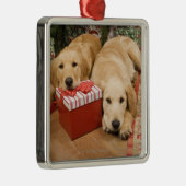 クリスマスのギフトを持つゴールデン・リトリーバーの子犬 メタルオーナメント (右)