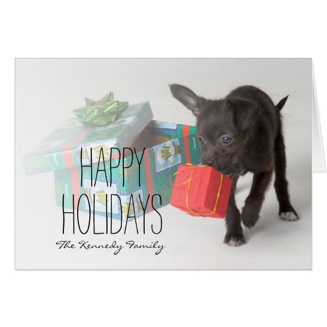 クリスマスのギフトを持つ子犬 (正面横)