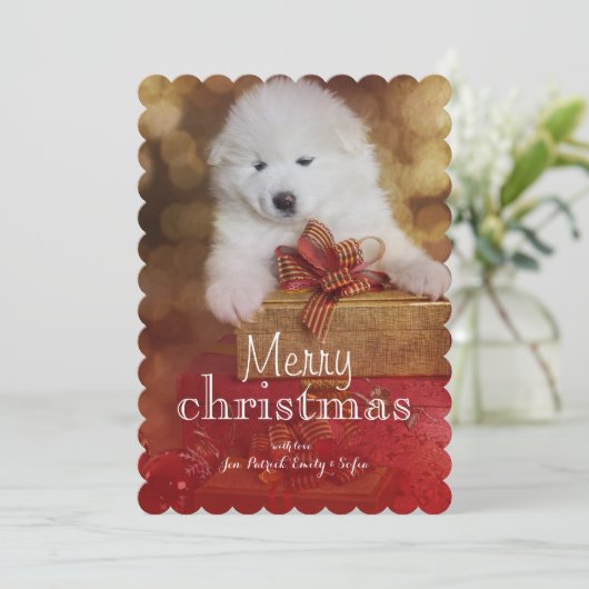 クリスマスのギフトを持つSamoyedの小犬 シーズンカード (スタンド正面)