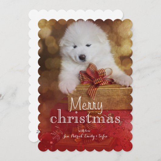 クリスマスのギフトを持つSamoyedの小犬 シーズンカード (正面/裏面)