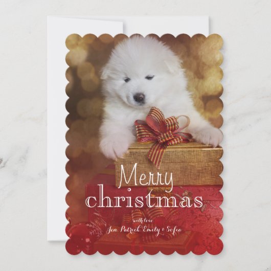 クリスマスのギフトを持つSamoyedの小犬 シーズンカード (正面)