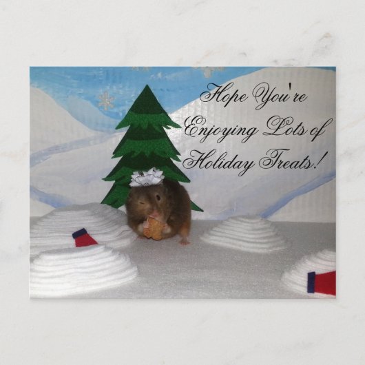 クリスマスのクッキー! シーズンポストカード (正面)