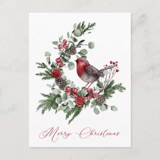 クリスマスのグリーン、松ぼっくり、赤い灰色のスズメ ポストカード (正面)