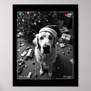 クリスマスのグレートピレネー犬がカメラに捉えられました ポスター