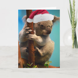クリスマスのコアラの下で シーズンカード