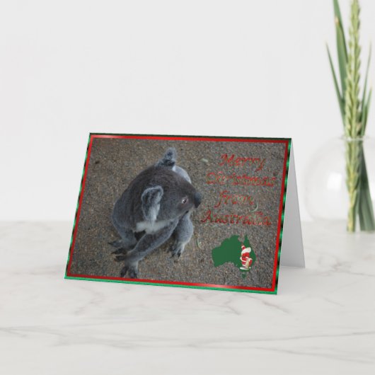 クリスマスのコアラの動物オーストラリアのクリスマスのクリスマス シーズンカード (正面)