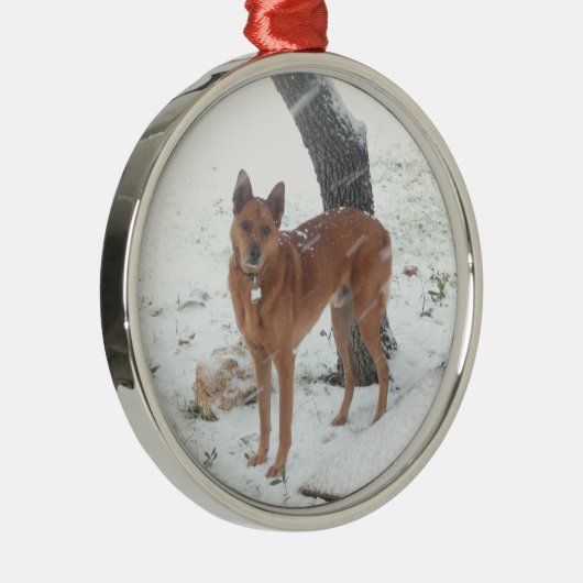クリスマスのコレクションはペットか家族写真を加えます メタルオーナメント (右)