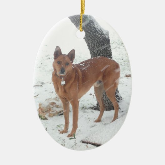 クリスマスのコレクションペットか家族写真 セラミックオーナメント (正面)