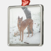 クリスマスのコレクションペットか家族写真 メタルオーナメント (左)