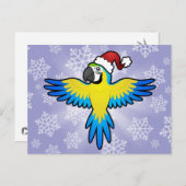 クリスマスのコンゴウインコ/オウム シーズンポストカード (正面/裏面)