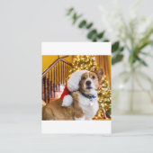 クリスマスのコーギー シーズンポストカード (スタンド正面)