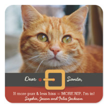 クリスマスのサンタおもしろいな猫より多くののどを鳴らす音より少ない無声スー音の写真