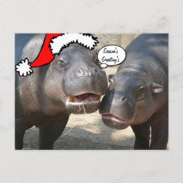 クリスマスのサンタのカバの郵便はがき シーズンポストカード