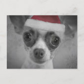 クリスマスのサンタの帽子を持つおもしろいなチワワの子犬 シーズンポストカード (正面)