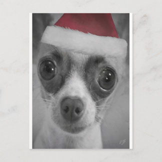 クリスマスのサンタの帽子を持つおもしろいなチワワの子犬 シーズンポストカード
