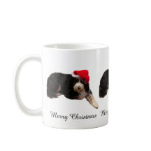 クリスマスのサンタ帽子をかぶった愛らしい犬