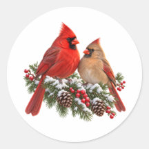 クリスマスのショウジョウコウカンチョウのつがい 雪のモミの木