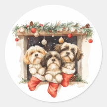 クリスマスのシー・ズー
