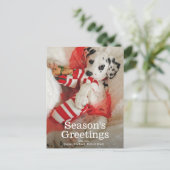 クリスマスのストッキングを持つDalmationの子犬およびヒイラギ シーズンポストカード (スタンド正面)